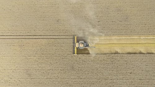 Combine Harvester Harvesting Wheat From Above