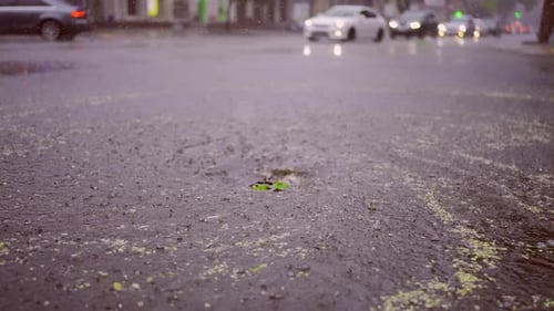 Swift stream of rainwater flows into storm drain, cars are driving at crossroads on background