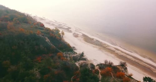 Beach River And Forest In Harmony With Nature.