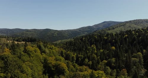 Vast green mountain range covered with dense pine and deciduous forests under a clear blue sky,