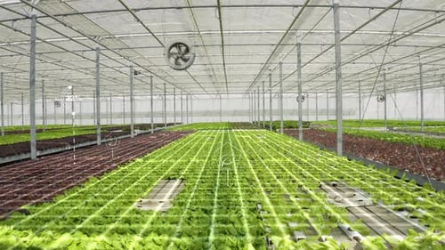 Drone Shot of High Tech Agricultural Greenhouse Parameters AR Visualization