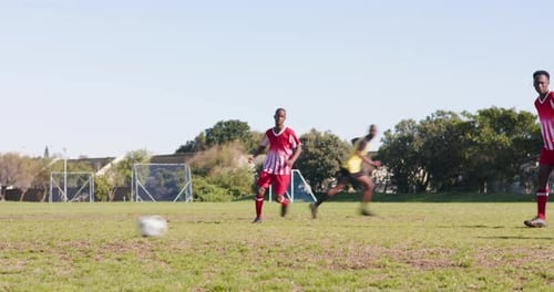 Playing soccer, two men in action near goalpost on grassy field