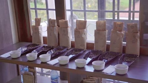 working in a cocoa factory toasting the cocoa beans.