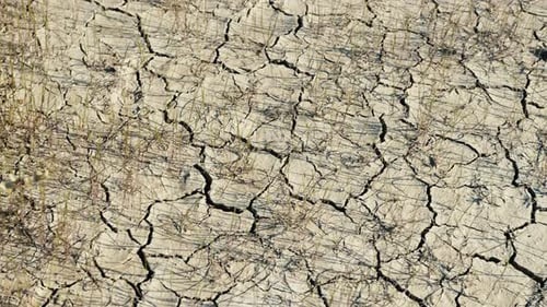 Cracked Dry Earth in Arid Desert Landscape