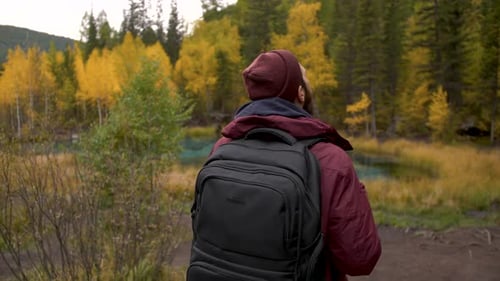 Male tourist hiking through grand national park forest admires wonderful world
