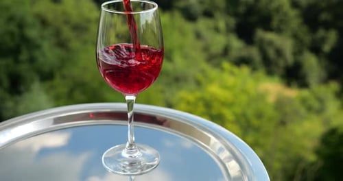 Red wine is poured into a glass against the background of a green summer forest. Slow motion.