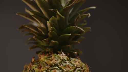 Close up of Pineapple tilting down