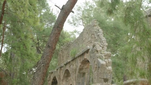 Les hautes arches en pierre de l'ancienne ville de Phaselis sont préservées au milieu de la forêt.
