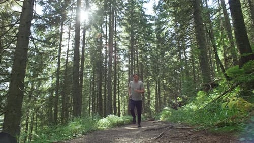 A Man Jogging in a Green Forest