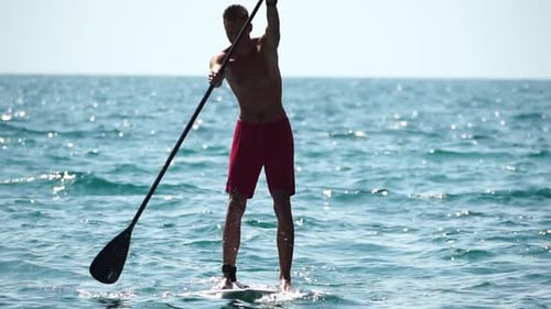 Man Sup Sea Strong Athletic Man Learns to Paddle Sup Standing on Board in Open Sea Ocean on Sunny
