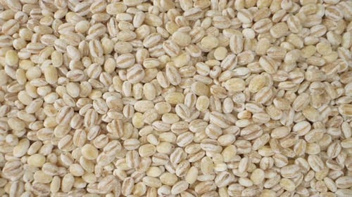 Barley seeds without hulls
