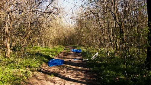 Drone Shot of Empty Forest Landscape Filled with Rubbish and Plastic Waste