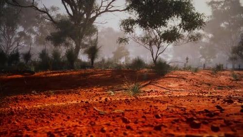 Trees Overlooking Dirt Field