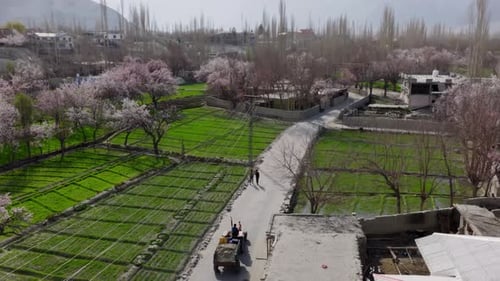 Aerial View of a Rural Village in Pakistan Featuring Pink Blossoming Trees and Rolling Hills