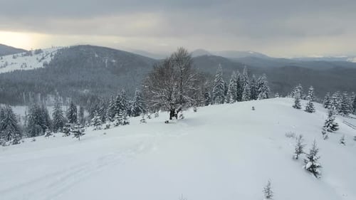 Scenic Aerial View of Snow Covered Mountain Landscape