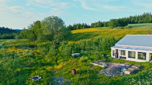 Dense Green Plants Near Forest And Hills. Aerial Drone Shot