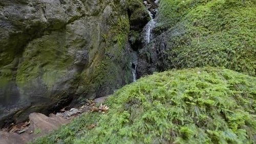 Scenic Waterfall Flowing over Mossy Rocks