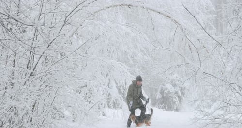 Person and Dog Playing in Winter Wonderland