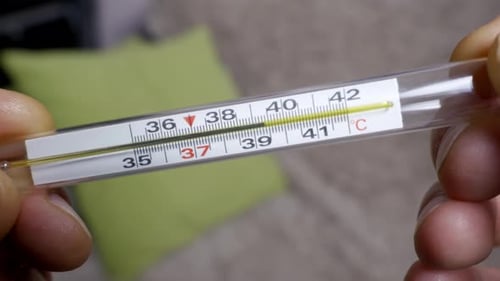 Hände, die das Quecksilberthermometer halten und die normale Körpertemperatur anzeigen
