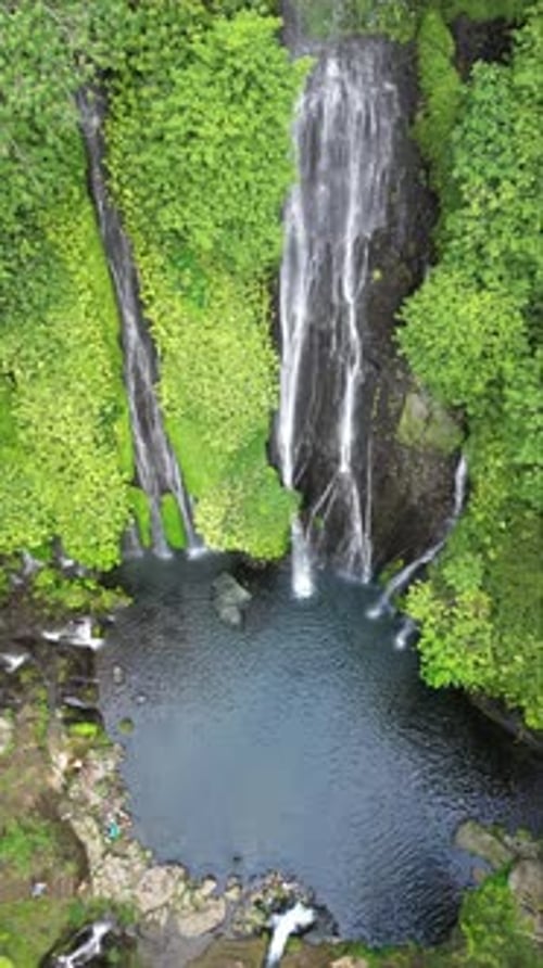 Aerial drone view of Sekumpul Waterfall in Buleleng, North Bali, Indonesia. Twin streams cascade dow
