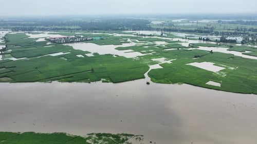 Aerial view of flooded fields, Bangladesh.