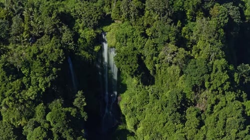 Drone shot of twin waterfalls deep in dense Balinese tropical jungle