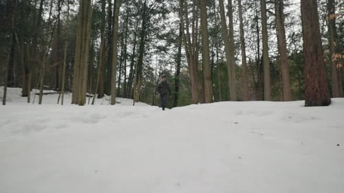 Static shot of Day Hiker Walking towards camera with Backpack through Snow Covered Winter Forest. Ac
