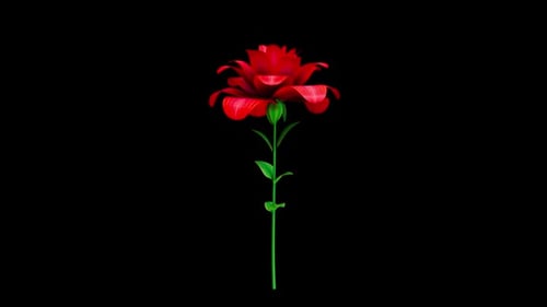 Flower Rose Red Blooming Alpha Channel