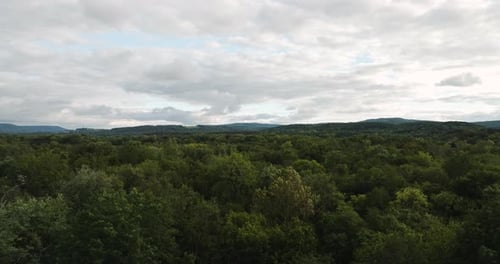 Dense Bushes With Green Leaves Under Cloudy Day Near Durham In Arkansas, United States. Aerial Drone