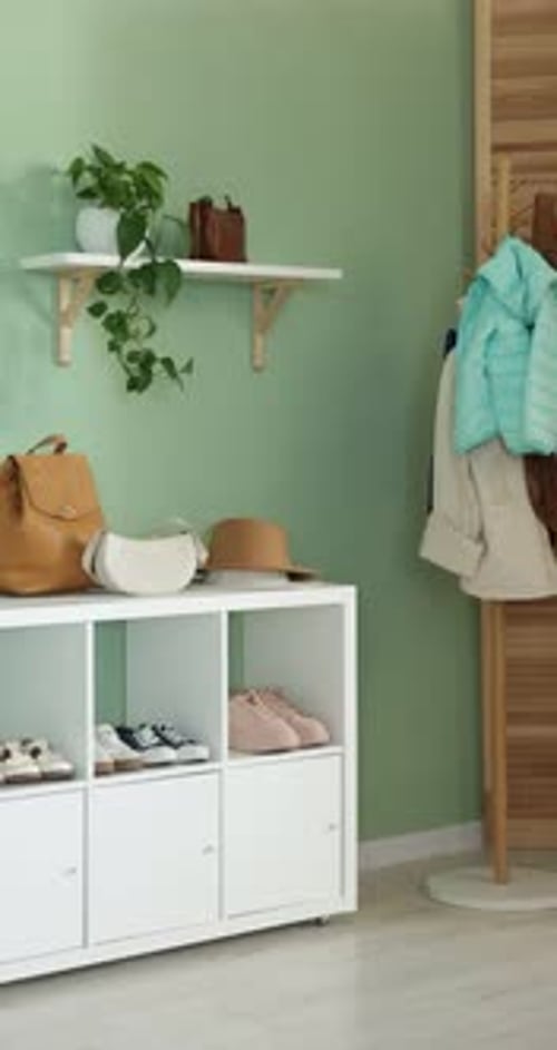 Rangement à chaussures avec différentes chaussures, manteaux sur étagère et plantes d'intérieur dans le couloir. La caméra se déplace vers la gauche