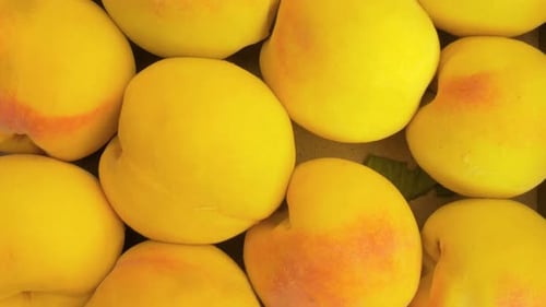 Delicious Yellow Peaches in Close Up