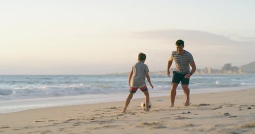 Their favorite place to play is the beach