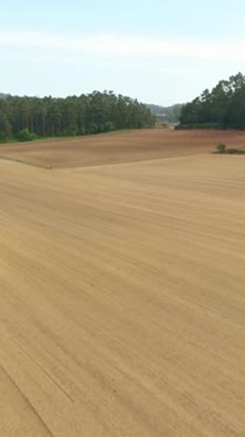 Vertical Video of Meadow Farm