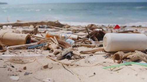 Auswirkungen von Plastikmüll auf Küstenökosysteme in einer ruhigen Strandumgebung