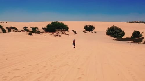 Solitary Wanderer in the Desert Sands