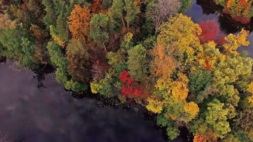 Aerial View of the Island in a Lake with Trees in Autumn Above