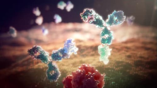 3D Animation of Antibodies and Molecules in Medical Science