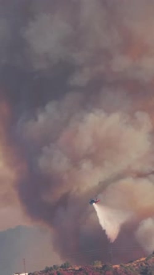 Firefighters are Diligently Battling the Los Angeles Fire in the Palisades Area of California