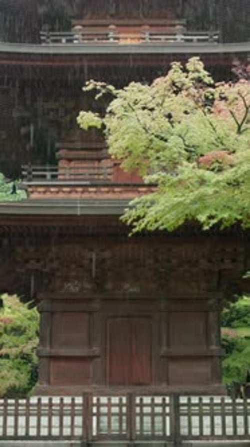 Japan, rain and temple with nature, spiritual and religion with history, vintage and weather