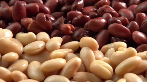 Canned red kidney beans and white kidney beans rotating background close up side view low light