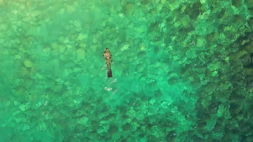 Aerial drone view of a person doing spearfishing on crystal blue water.