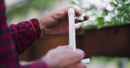 Man Checks Thermometer Near Plants Outdoors
