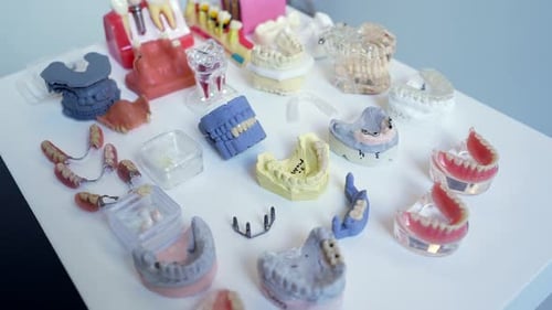 Dental Molds and Models for Dental Practice