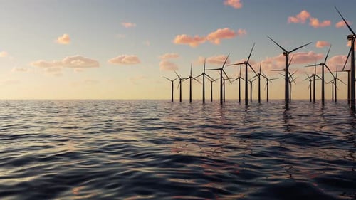 An array of wind turbines sits at sea generating electricity.