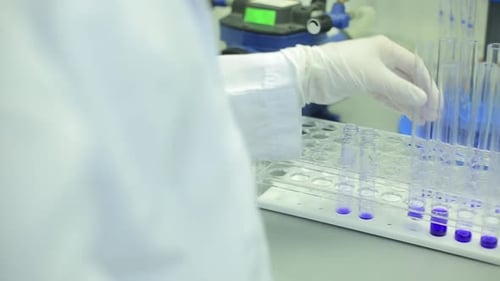 Scientist Placing Test Tubes in a Rack
