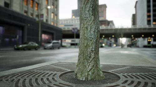 Stunning Hyper Lapse of Downtown Area