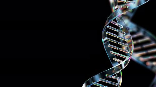 Glass DNA Double Helix Strand Rotates on Black Background Loop Animation Science and Biotechnology