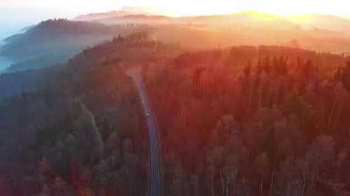 Highway Lies on Slopes of Hills in a Valley with Pine Forests Covered with White Fogs in Sunlight