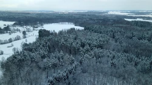 Coniferous Trees Covered With Snow During Winter Near Village Of Pieszkowo In Poland. - aerial