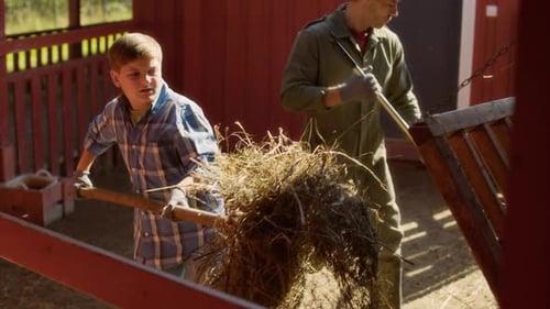 Boy Child with Father Loading Hay with Rakes into Stable on Country Farm